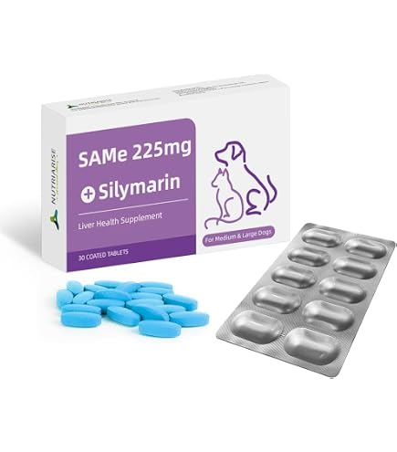 シンバイオティックD-C 50カプセル入り　5箱 Amazon.co.jp: シンバイオティックDC 50CP : ペット用品